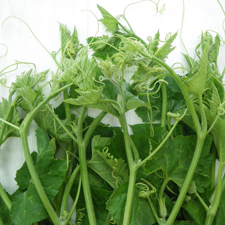 Ngọn Bí